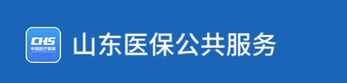 山东医保公共服务