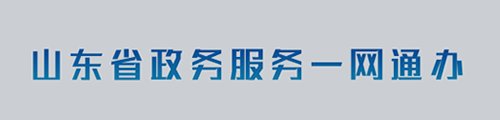 山东省政务服务一网通办