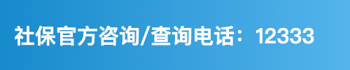 社保官方查询/查询电话：12333