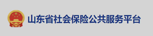 山东省社会保险公共服务平台 第3张