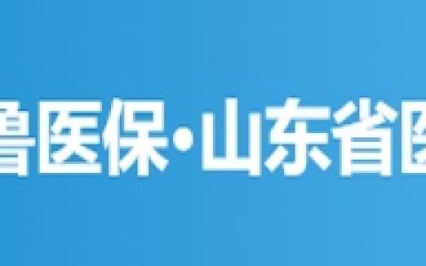 官方平台-鲁医保APP·山东医保查询（小程序）