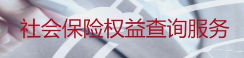 北京社保查询系统·个人权益查询