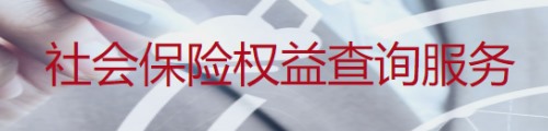 北京社保查询系统·个人权益查询 第1张