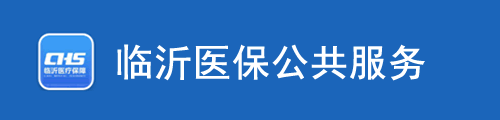 临沂医保公共服务·网上服务大厅 第3张