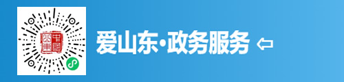 爱山东·政务服务（微信小程序） 第1张