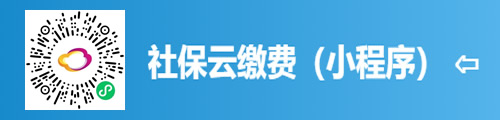 社保云缴费（微信城市服务） 第3张