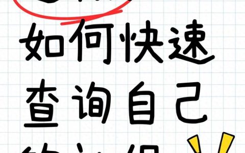 济南-如何查询社保缴费记录